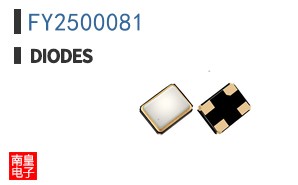 FY2500081