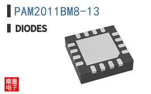 PAM2011BM8-13